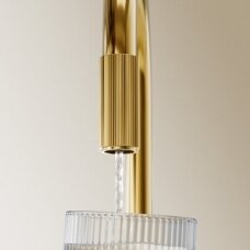 Aukso spalvos virtuvinis maišytuvas su geriamojo vandens funkcija OMNIRES SWITCH