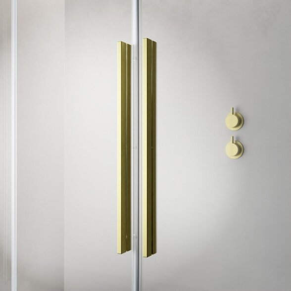 Dušo sienėlė su stomdamomis durimis Radaway Furo Brushed Gold Walk-in 1