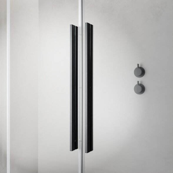 Dušo sienėlė su stomdamomis durimis Radaway Furo Brushed GunMetal Walk-in 1