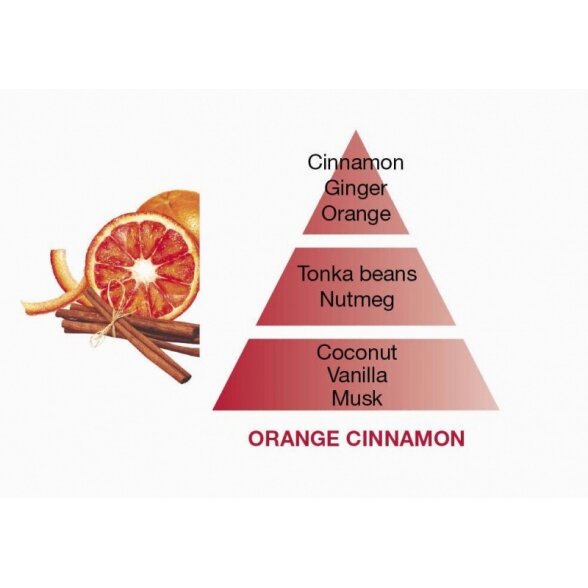 Namų kvapas - lazdelės Cube Orange Cinnamon Maison Berger 1