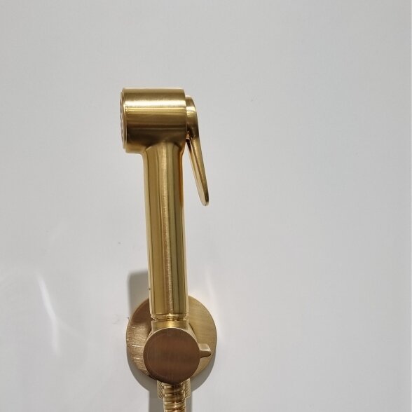 Progresyvinis bidė maišytuvas su dušeliu šlifuoto aukso spalvos Bossini E37 - PALOMA-BRASS PROGRESSIVE M (metalinė galvutė) 2